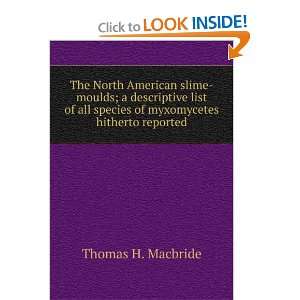   myxomycetes hitherto reported Thomas H. Macbride  Books