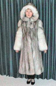 Natural Blue Fox full length coat with hood   Denmark  