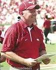 bobby petrino  