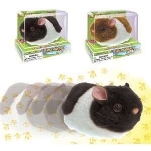    Runabout Hamster The Carefree and Playful Hamster Pet Toys & Games