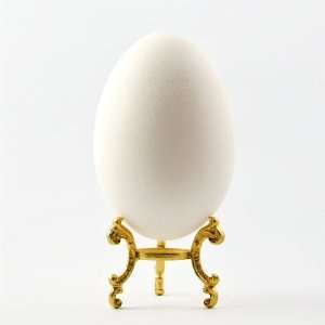   Egg Shell, Eggshell, Unpainted Shell, Blank Shell Egg