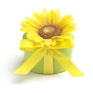    Bloembox Original Sunflower in Gift Box Patio, Lawn & Garden