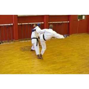  Karate Fight   Peel and Stick Wall Decal by Wallmonkeys 