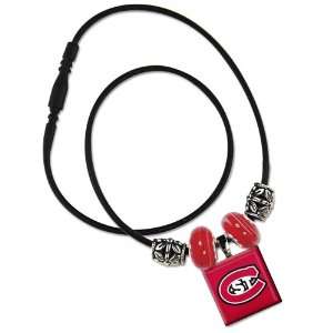  ST. CLOUD STATE HUSKIES OFFICIAL 18 NECKLACE Sports 