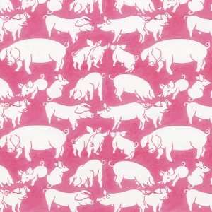   with Caspari Continuous Wrapping Paper Roll, Oink