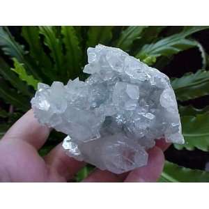   Clear Apophyllite Stalactites Crystal Cluster  