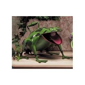  Frog Froggie Froggy Lover Creature Watering Can Art Patio 