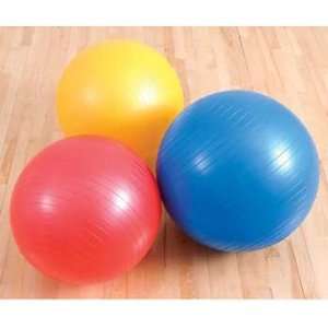  Core Stability Ball