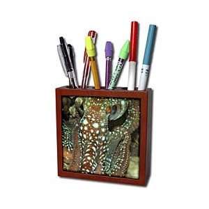   Malapascua, Cebu,Philippines   Tile Pen Holders 5 inch tile pen holder