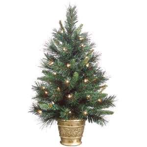  24 Pine Tree X62 in Pot W/35 Lights Green (Pack of 2 