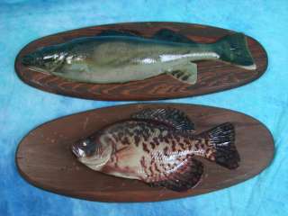   Plastic Fish Wall Hanging Plaque Walleye Home Decoration Man Cave