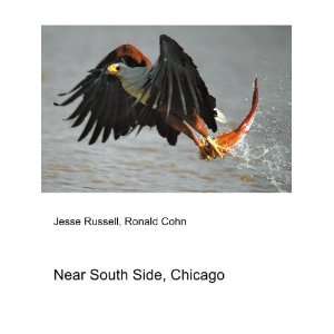  Near South Side, Chicago Ronald Cohn Jesse Russell Books