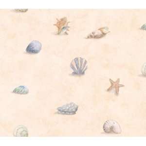  Beige and Blue Beach Seashells Wallpaper