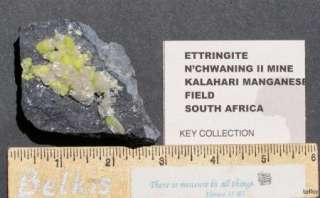 ETTRINGITE W/ CALCITE   EX CHARLIE KEY   S AFRICA 13337  