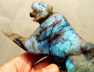 A+ HUGE 6 Chatoyant SUPERB LABRADORITE Gemstone Tiger  