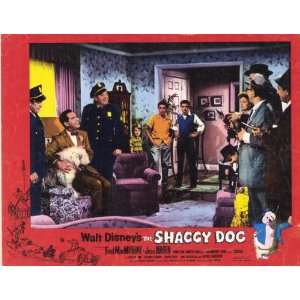 Shaggy Dog Movie Poster (11 x 14 Inches   28cm x 36cm) (1974) Style F 