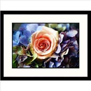  Pink Rose with Hydramgea Framed Photograph Size 23 x 30 
