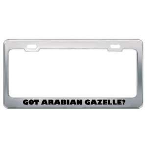 Got Arabian Gazelle? Animals Pets Metal License Plate Frame Holder 