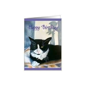 Happy Birthday tuxedo cat on a blanket next to sunny 