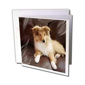  Dogs Rough Collie   Rough Collie Puppy   Greeting Cards 12 