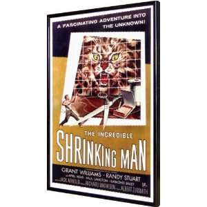  Incredible Shrinking Man, The 11x17 Framed Poster