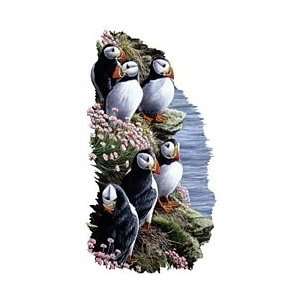  Puffin Shirts