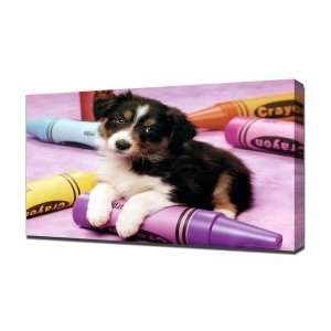  Crayon Pup   Canvas Art   Framed Size 20x30   Ready To 