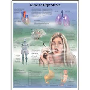 3B Scientific VR1793UU Glossy Paper Nicotine Dependence Anatomical 