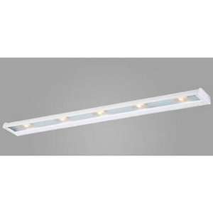 CSL Lighting CAX 120 40SS Counter Attack 40L 5 Light Under Cabinet in