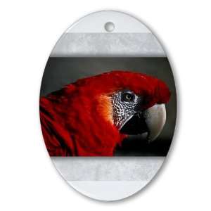  Ornament (Oval) Scarlet Macaw   Bird 
