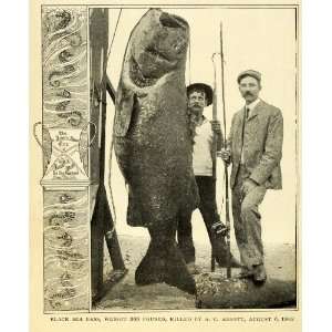   Pole Fisherman A. C. Abbott   Original Halftone Print