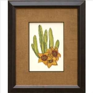 Phoenix Galleries OWP56744 Exotic Cactus IV Framed Print 
