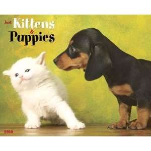  Just Kittens & Puppies 2010 Wall Calendar