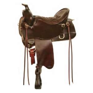  259 Mule Saddle