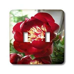 Yves Creations Florals and Bouquets   Deep Red Flower   Light Switch 