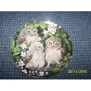  The Baby Owls Little Owl Chicks Twinney Collector Plate 