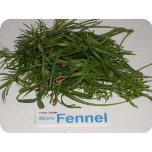 Micro Greens   Fennel   4 x 4 oz Grocery & Gourmet Food