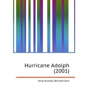 Hurricane Adolph (2001) Ronald Cohn Jesse Russell  Books