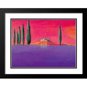  Gerry Baptist Framed and Double Matted Art 33x41 Castle 