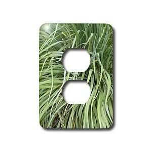 Florene Nature   Debs Grasses   Light Switch Covers   2 plug outlet 