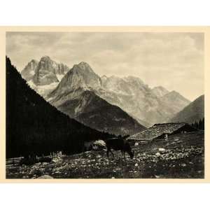  1927 Brenta Group Mountains Alpine Meadow Pasture Italy 