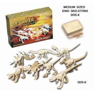  Dinosaur Excavation Kit Medium Size Toys & Games