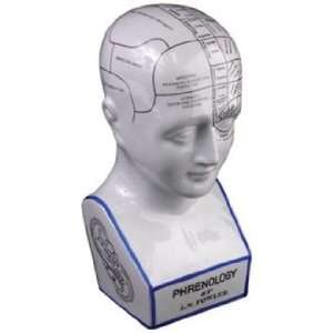 Ceramic Phrenology Head 