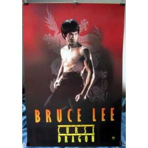  Bruce Lee Curse of the Dragon recent POSTER 21 x 31 