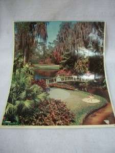 Beautiful Cypress Gardens Lithograph 8731 A Fox 1959  