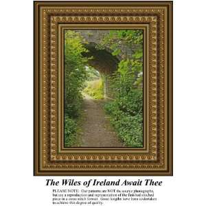  The Wiles of Ireland Await Thee, Counted Cross Stitch 