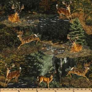  44 Wide Windham Into The Woods Scenic Deer Green Fabric 