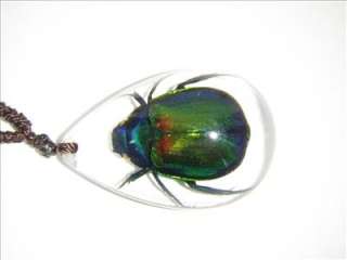 Insect Necklace Colorful Scarab Beetle Metallic Shining  