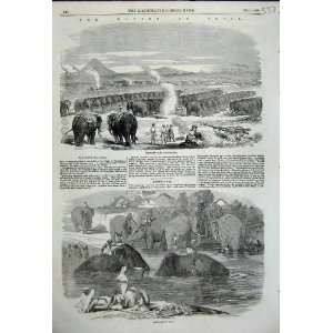  Elephant Camp Raneegunge Washing Elephants 1858 India 
