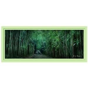  Mauis Bamboo Forest, Signature Note Cards, 6pk Boxed Set 